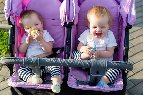 개월된 귀여운 아이들 유모차 안에서 나란히 있습니다 — 스톡 사진
