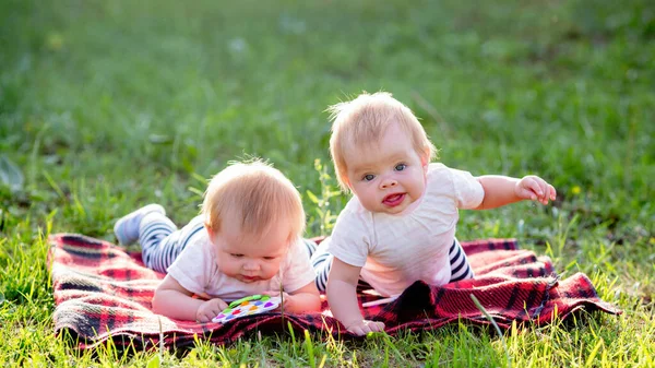 Duas Crianças Meses Rastejam Cobertor Praça — Fotografia de Stock