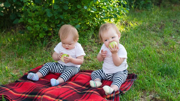 Portrait Two Children Apples Blanket Park — Stock Photo, Image