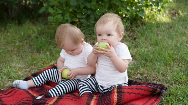 Offended Child Refuses Eat His Sister Park Blanket Holding Apple — Stock Photo, Image