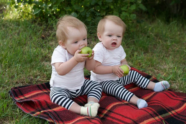 피해를 어린이는 사과를 누이와 공원에서 식사하기를 — 스톡 사진