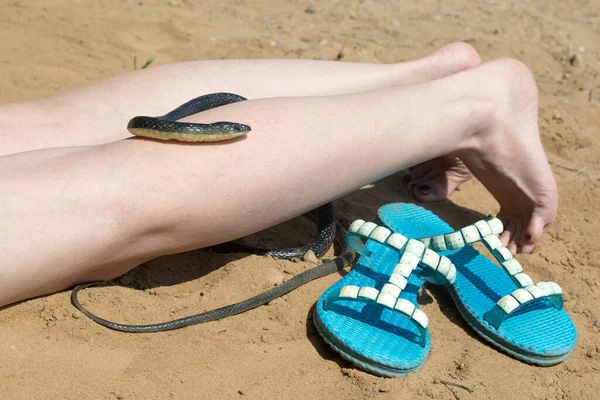 Uma Cobra Venenosa Uma Praia Cidade Perna Uma Mulher Dormindo — Fotografia de Stock