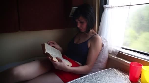 Una Mujer Morena Coche Compartimiento Lee Libro Para Pasar Tiempo — Vídeos de Stock
