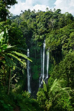 Cennet Şelalesi, Bali. Doğa Güzellik Peyzaj Arka Plan