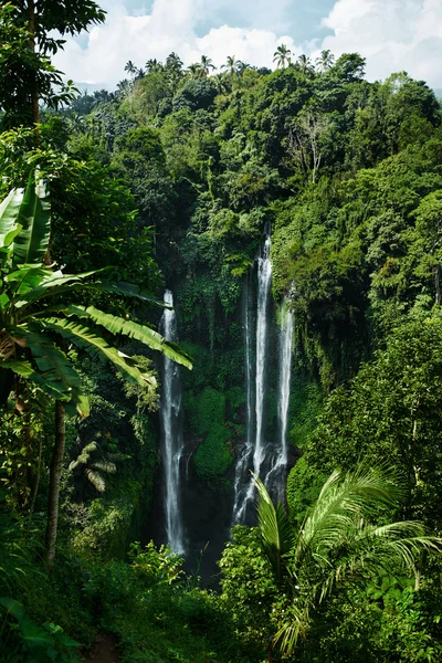 Paradise Waterfall, Bali. Nature Beauté Paysage Contexte — Photo