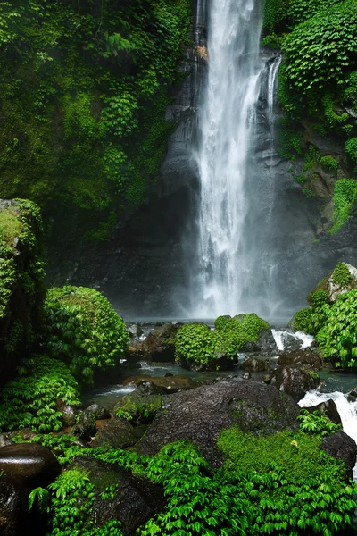 Paradise Waterfall, Bali. Nature Beauté Paysage Contexte — Photo