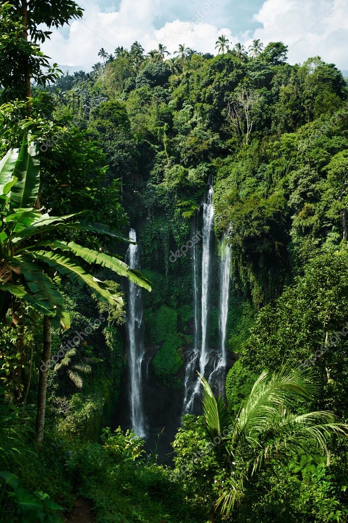 Paradise Waterfall, Bali. Nature Beauty Landscape Background by ©puhhha 111919112