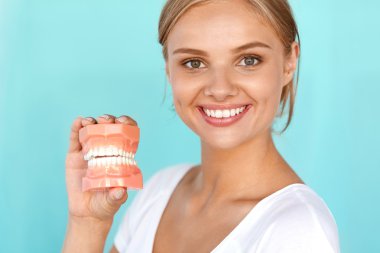 Woman With Beautiful Smile, Healthy Teeth Holding Dental Model