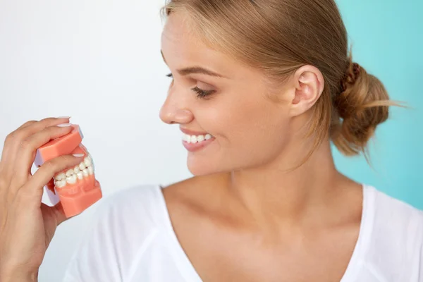 Жінка з прекрасною посмішкою, здорові зуби тримає стоматологічну модель — стокове фото