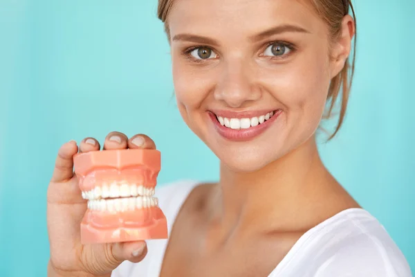 Woman With Beautiful Smile, Healthy Teeth Holding Dental Model — Zdjęcie stockowe