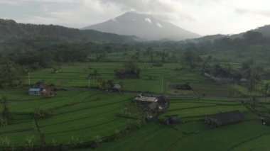 Endonezya, Bali 'deki Yanardağ Vadisi yakınlarındaki Agung Dağı. Pirinç Tarlaları ve Ormanlı Yeşil Tropikal Arazi.