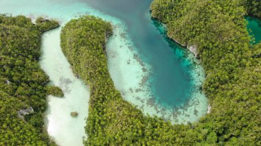 Raja Ampat Adaları: Turkuaz Denizi ve Yeşil Tropikal Ağaçlı Triton Körfezi. Geniş Açı Doğa 'nın Havadan Görünümü; Pasifik Okyanusu ve Güzel Manzara Papua, Endonezya' da.