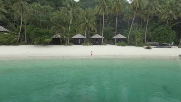 Menina Bonita Andando Ocean Beach Com Cabanas Entre Palmeiras Triton — Vídeo de Stock