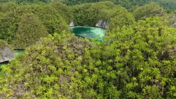 Triton Bay Com Mar Turquesa Árvores Tropicais Verdes Nas Ilhas — Vídeo de Stock