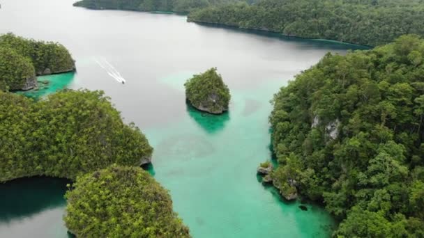 Triton Bay Boot Turquoise Zee Groene Tropische Bomen Kaimana Eilanden — Stockvideo