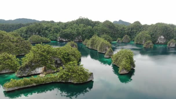 カイマナ諸島のターコイズブルーの海と緑の熱帯の木々が広がるトリトン湾の空中写真 インドネシア パプア州の太平洋ラグーンと絵のような風景 — ストック動画