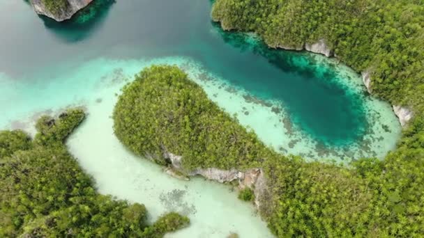 Triton Bay Com Mar Turquesa Árvores Tropicais Verdes Nas Ilhas — Vídeo de Stock