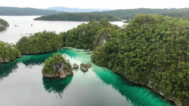 Triton Baai Met Turquoise Zee Groene Tropische Bomen Kaimana Eilanden — Stockvideo