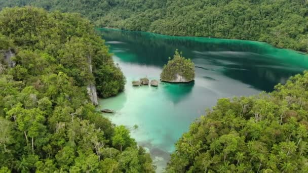 Triton Bay Com Mar Turquesa Árvores Tropicais Verdes Nas Ilhas — Vídeo de Stock