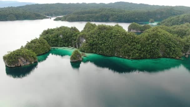 Triton Baai Met Turquoise Zee Groene Tropische Bomen Kaimana Eilanden — Stockvideo