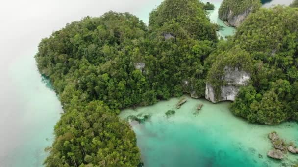 Vista Aérea Baía Tritão Com Mar Turquesa Árvores Tropicais Verdes — Vídeo de Stock