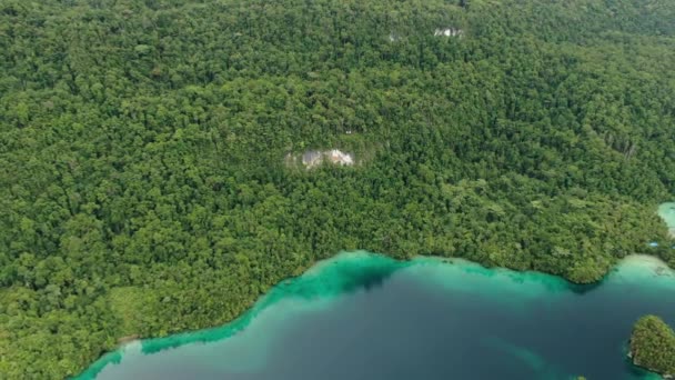 カイマナ諸島のターコイズブルーの海と緑の熱帯の木のトリトンベイ 広角自然の空中ビュー インドネシアのパプア州の太平洋ラグーンと美しい風景 — ストック動画