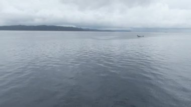 Kaimana Adaları 'ndaki Triton Körfezi' nde su sıçratan teknenin hava görüntüsü. Endonezya, Papua 'da Su Sanatı ile Geniş Açı Çekimi.