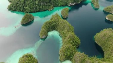 Turkuaz Denizi ve Kaimana Adaları 'ndaki yeşil tropikal ağaçlarla Triton Körfezi' nin havadan görünüşü. Geniş Açı Doğa, Pasifik Gölü ve Papua, Endonezya 'daki Resimli Manzara.
