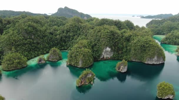 Vista aérea da Baía de Tritão com Mar Turquesa e Árvores Tropicais Verdes nas Ilhas Kaimana. Natureza de ângulo largo; Lagoa do Pacífico e paisagem pitoresca em Papua, Indonésia. — Vídeo de Stock
