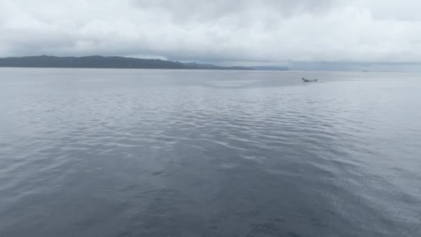 Letecký Pohled Loď Stříkající Vody Triton Bay Kaimanských Ostrovech Širokoúhlý — Stock video
