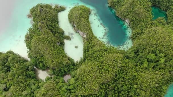 Triton Bay com Mar Turquesa e Árvores Tropicais Verdes nas Ilhas Kaimana. Vista aérea da natureza larga do ângulo; Lagoa do Pacífico e paisagem bonita em Papua, Indonésia. — Vídeo de Stock