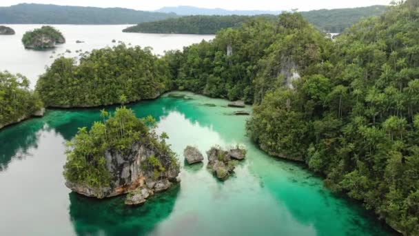 Triton Bay com Mar Turquesa e Árvores Tropicais Verdes nas Ilhas Kaimana. Vista aérea da natureza larga do ângulo; Lagoa do Pacífico e paisagem bonita em Papua, Indonésia. — Vídeo de Stock