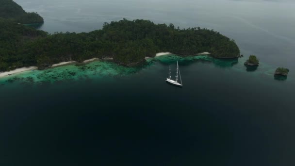 Triton Bay Boat Turquoise Sea Green Tropical Trees Kaimana Islands — Vídeo de Stock
