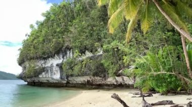 Kaimana Adası 'nda turkuaz suyu olan Sandy Ocean Sahili' nde palmiye ağaçları. Endonezya, Papua 'daki Cennet Bahçesinde Yeşil Tropikal Yapraklar Manzaralı Güzel Doğa.