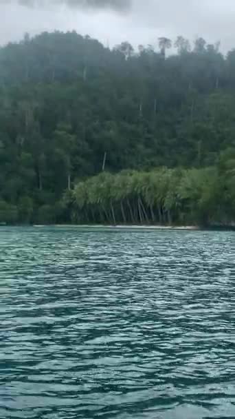 Tyrkysové Moře Skály Zelenými Tropickými Stromy Tritonském Zálivu Ostrovech Kaimana — Stock video