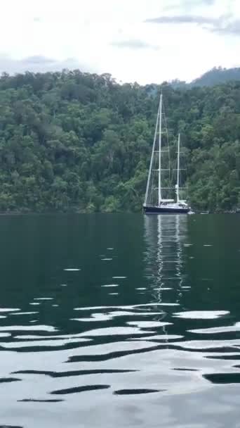 Triton Bay Båt Turkost Hav Och Gröna Tropiska Träd Kaimana — Stockvideo