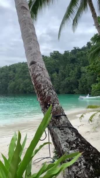 Palmeras Sandy Ocean Beach Con Agua Turquesa Isla Kaimana Vídeo — Vídeo de stock