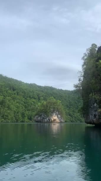 Mar Turquesa Pedras Com Árvores Tropicais Verdes Triton Bay Ilhas — Vídeo de Stock