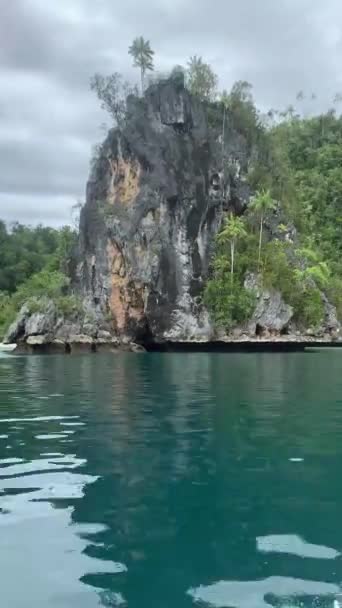 Mar Turquesa Pedras Com Árvores Tropicais Verdes Triton Bay Ilhas — Vídeo de Stock