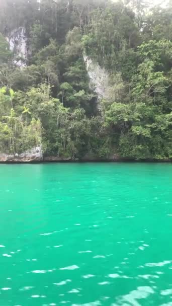 Mar Turquesa Pedras Com Árvores Tropicais Verdes Triton Bay Ilhas — Vídeo de Stock