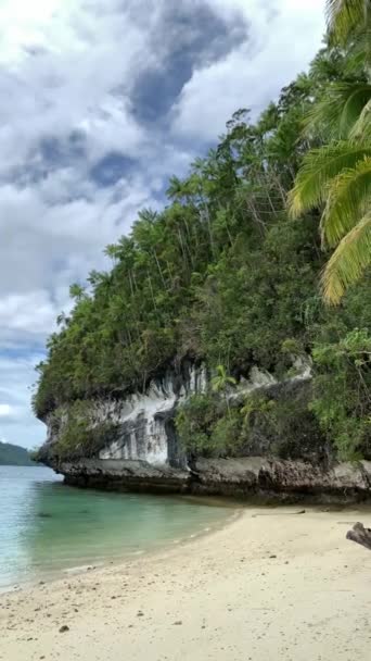 Palm Trees Sandy Ocean Beach Turquoise Water Ksud Island Dalam — Stok Video