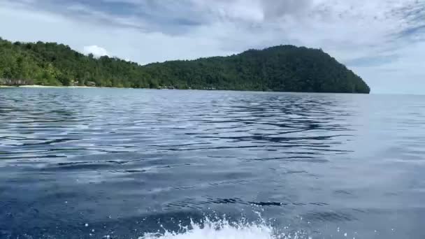 Mar Turquesa Árvores Tropicais Verdes Triton Bay Ilhas Kaimana Ângulo — Vídeo de Stock