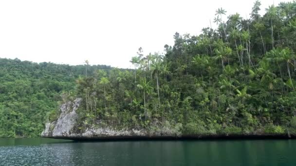 Mar Turquesa Pedras Com Árvores Tropicais Verdes Triton Bay Ilhas — Vídeo de Stock