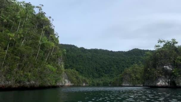 Mare Turchese Rocce Con Alberi Tropicali Verdi Nella Baia Triton — Video Stock