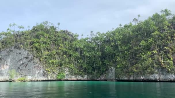 Mar Turquesa Pedras Com Árvores Tropicais Verdes Triton Bay Ilhas — Vídeo de Stock