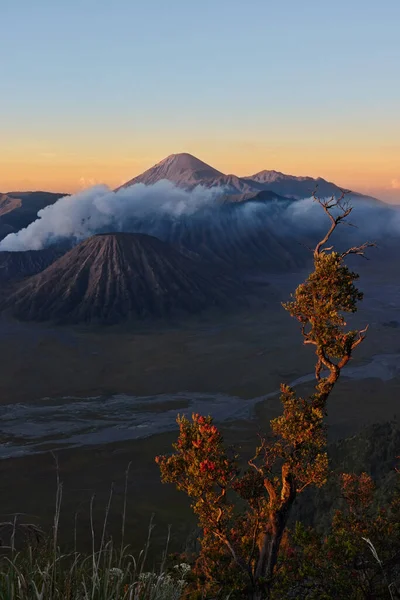 Solnedgång bakom rökiga vulkanen berg, Indonesien — Stockfoto