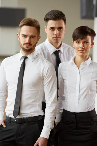 Business people in formal wear — Stock Photo, Image