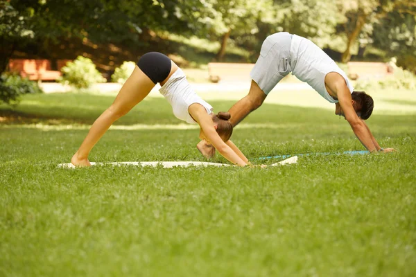 Yoga-Übungen. junges Paar meditiert im Sommerpark — Stockfoto