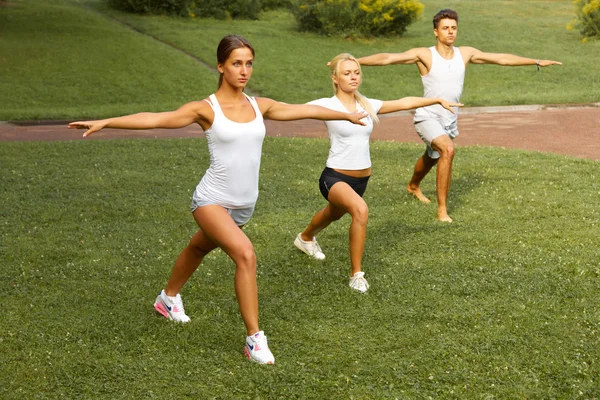 Clase de fitness. Retrato de personas sonrientes haciendo ejercicio físico ex —  Fotos de Stock