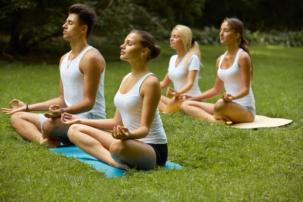 Clase de yoga. Grupo de personas que meditan en el parque de verano —  Fotos de Stock